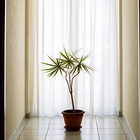 Leon - Ristorante Al Cavallino Rosso