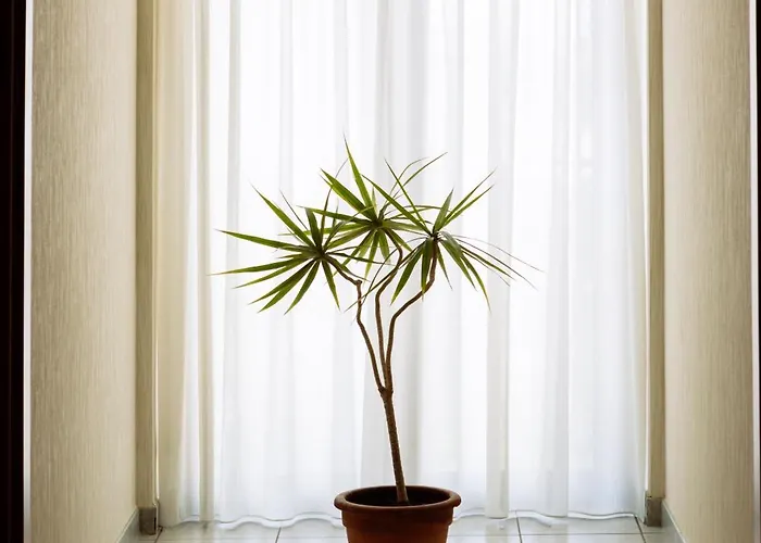 Leon - Ristorante Al Cavallino Rosso